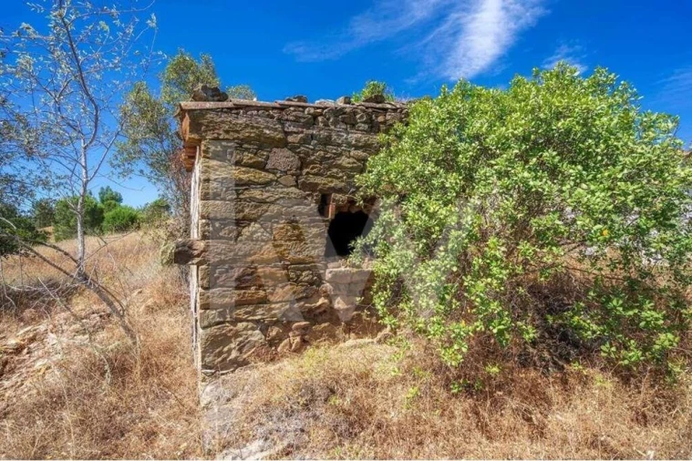 Quinta T5 para Venda em Cachopo Foto 33