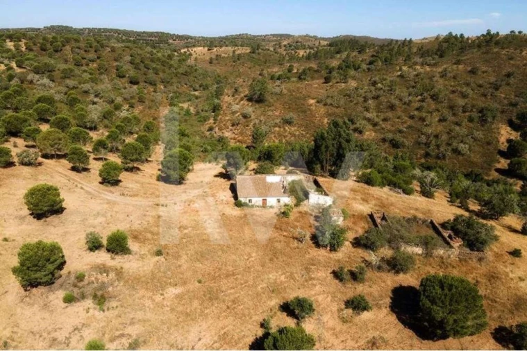 Quinta T5 para Venda em Cachopo Foto 37