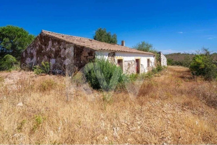 Quinta T5 para Venda em Cachopo Foto 5