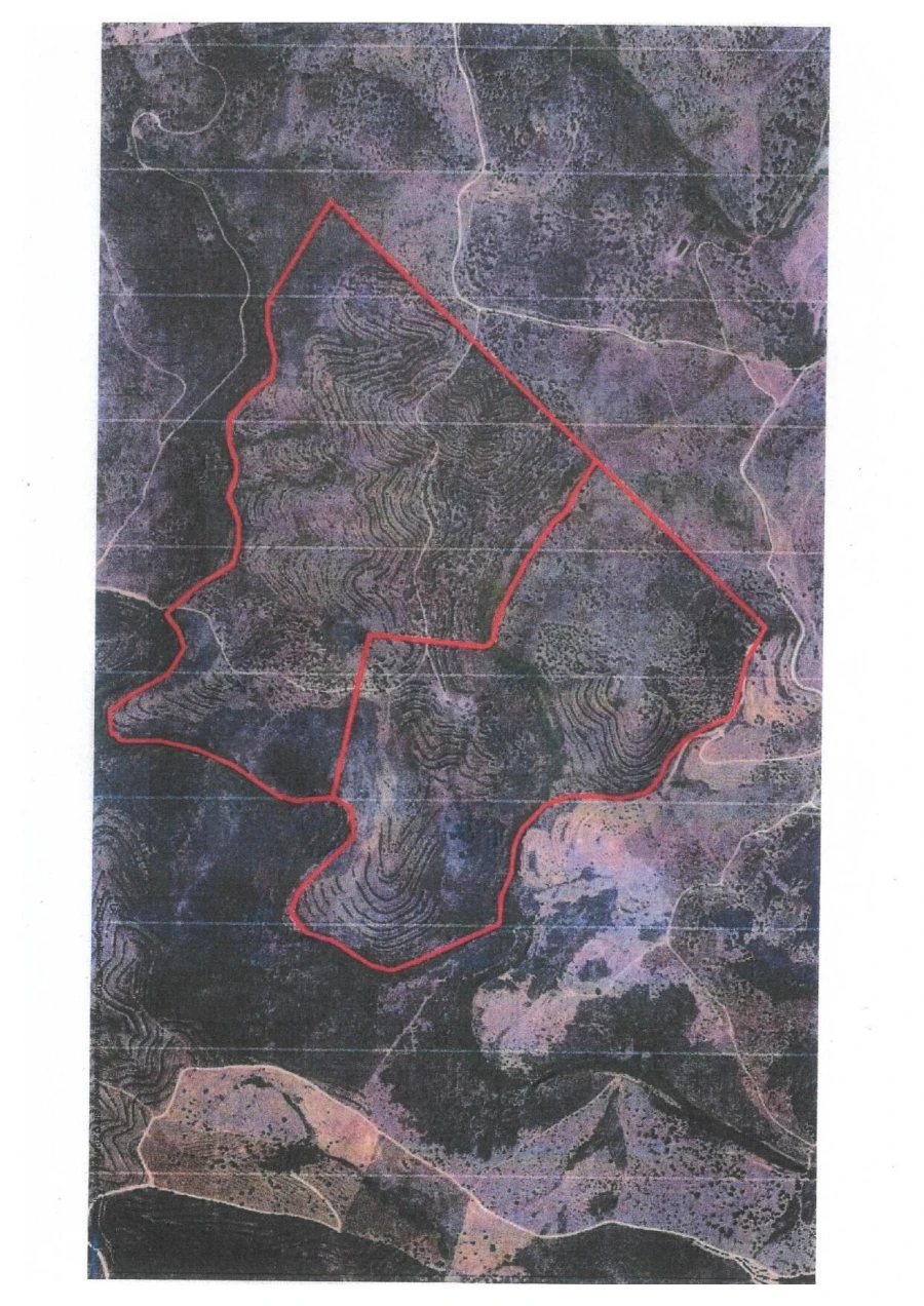 Quinta T5 para Venda em Cachopo Foto 43