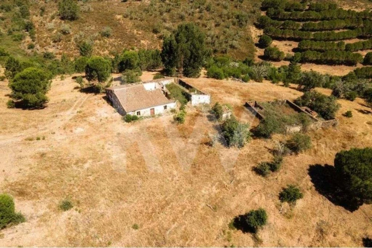 Quinta T5 para Venda em Cachopo Foto 40