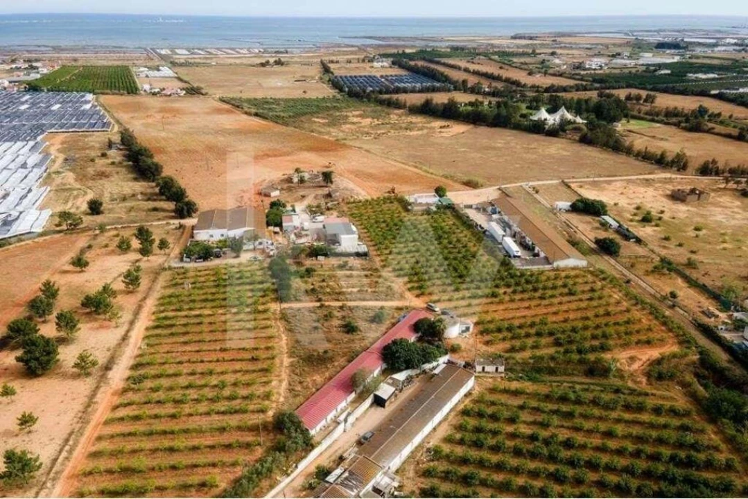 Terreno para Venda em Pechão Foto 8