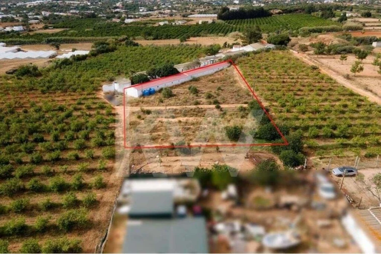 Terreno para Venda em Pechão Foto 11