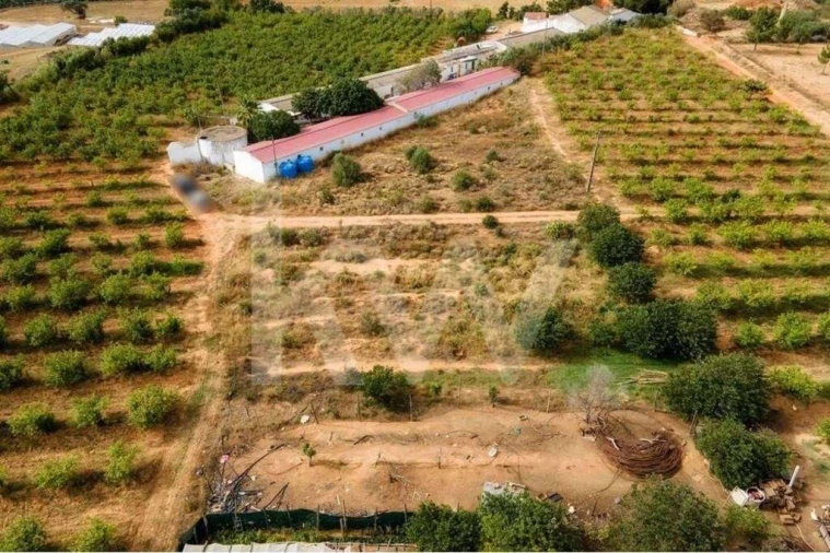 Terreno para Venda em Pechão Foto 12