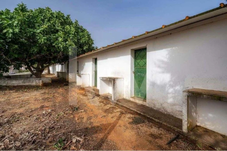 Terreno para Venda em Pechão Foto 3