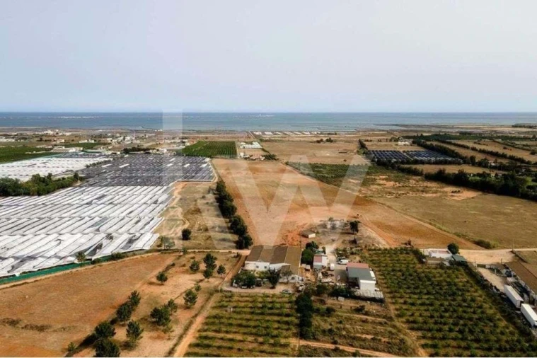 Terreno para Venda em Pechão Foto 5