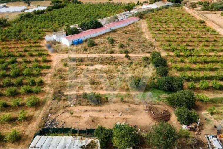 Terreno para Venda em Pechão Foto 15