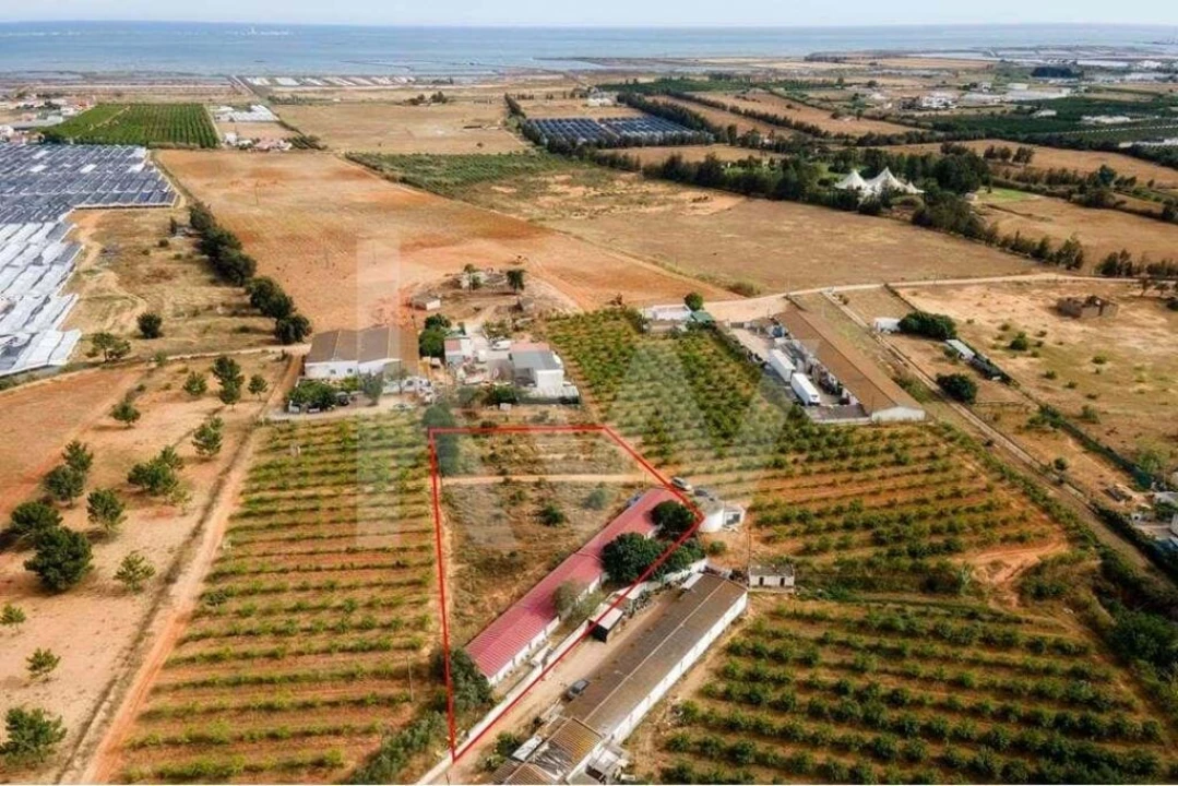 Terreno para Venda em Pechão Foto 9