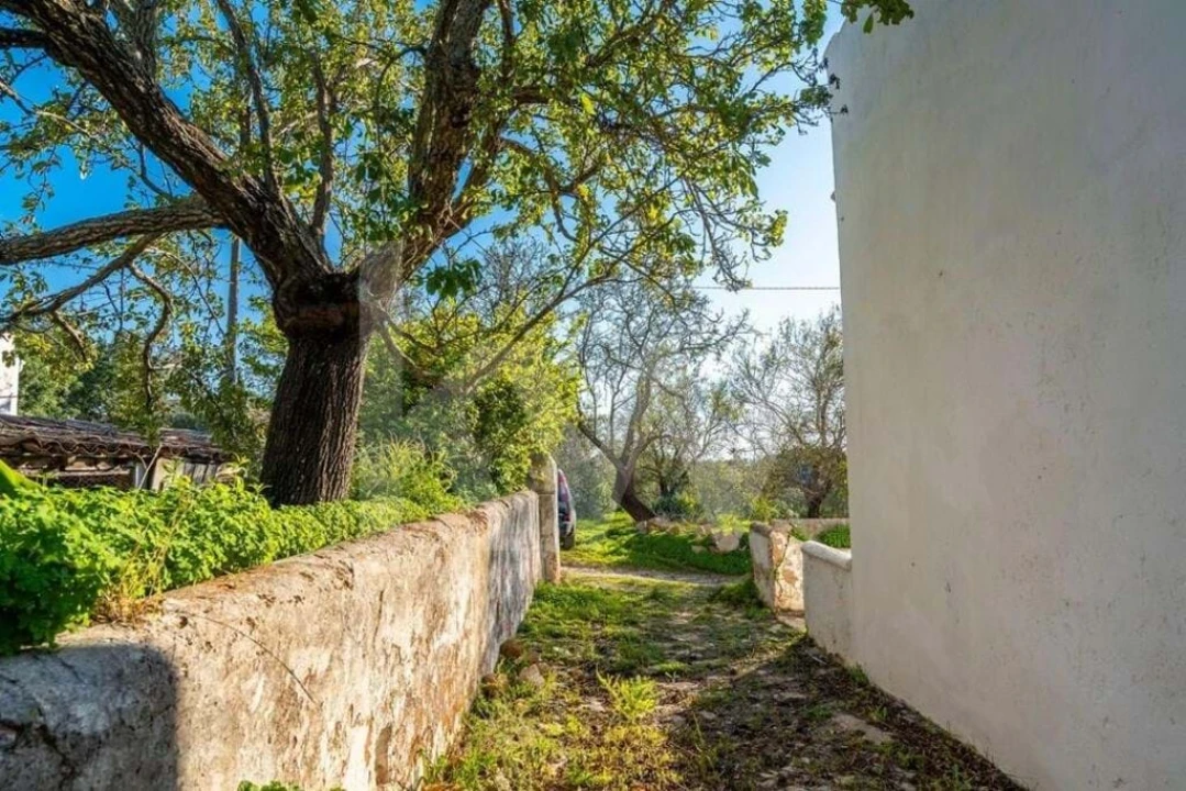 Moradia T3 para Venda em Quelfes Foto 4