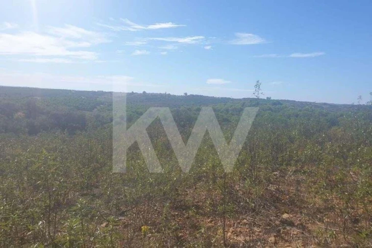 Terreno para Venda em Azinhal Foto 5