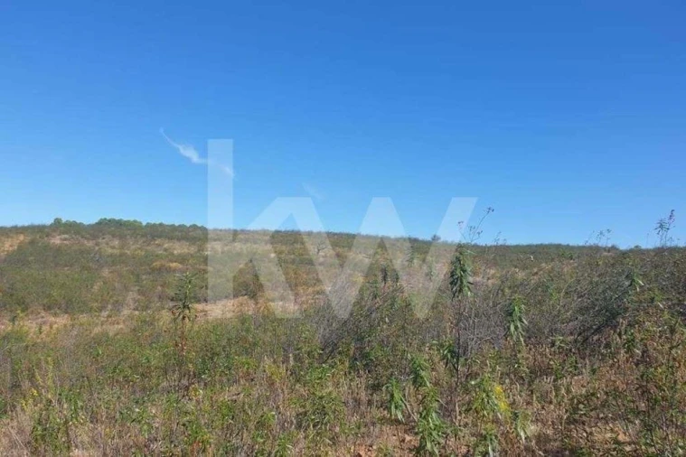 Terreno para Venda em Azinhal Foto 6