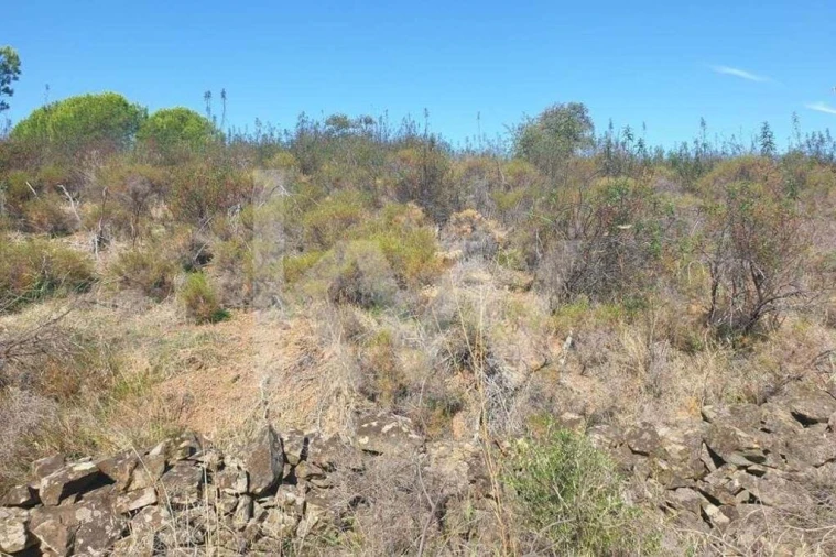 Terreno para Venda em Azinhal Foto 3