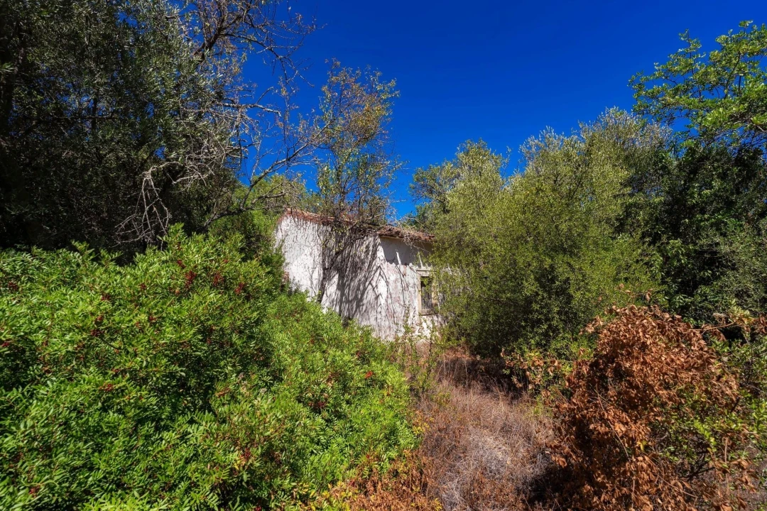 Moradia T2 para Venda em Loule (São Clemente) Foto 25