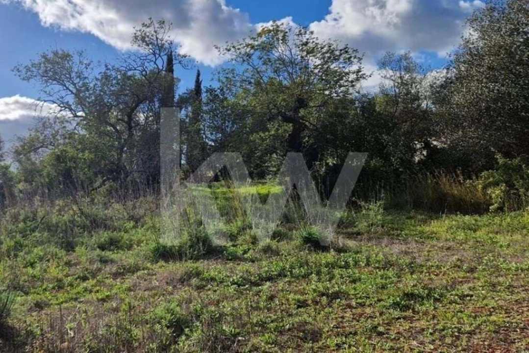 Moradia T2 para Venda em Loule (São Clemente) Foto 14