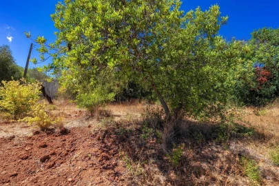 Moradia T2 para Venda em Loule (São Clemente)