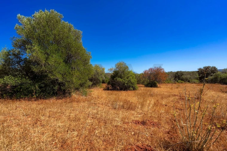 Moradia T2 para Venda em Loule (São Clemente) Foto 5