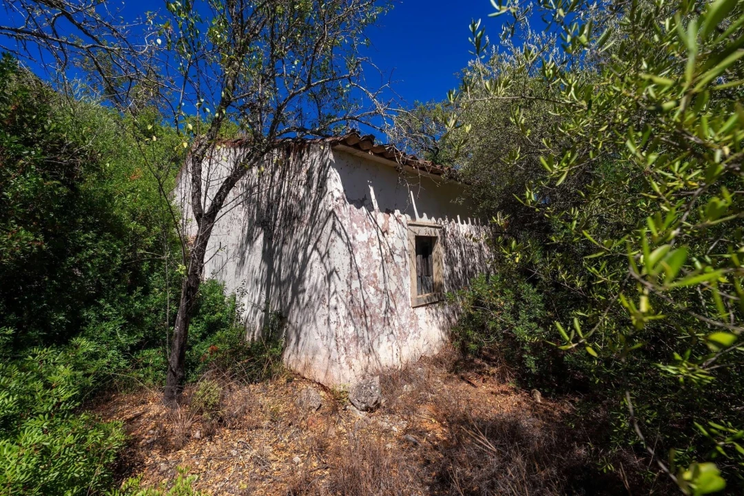 Moradia T2 para Venda em Loule (São Clemente) Foto 26