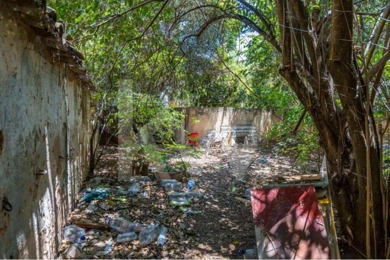 Prédio para Venda em Loule (São Clemente) Foto 14