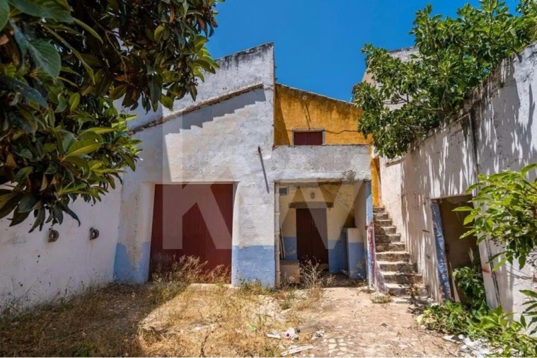 Prédio para Venda em Loule (São Clemente) Foto 16