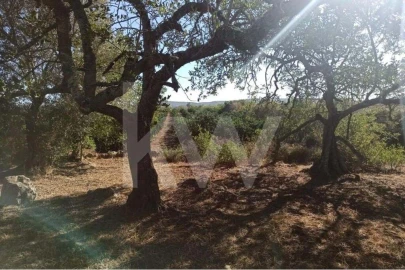 Moradia T5 para Venda em Paderne