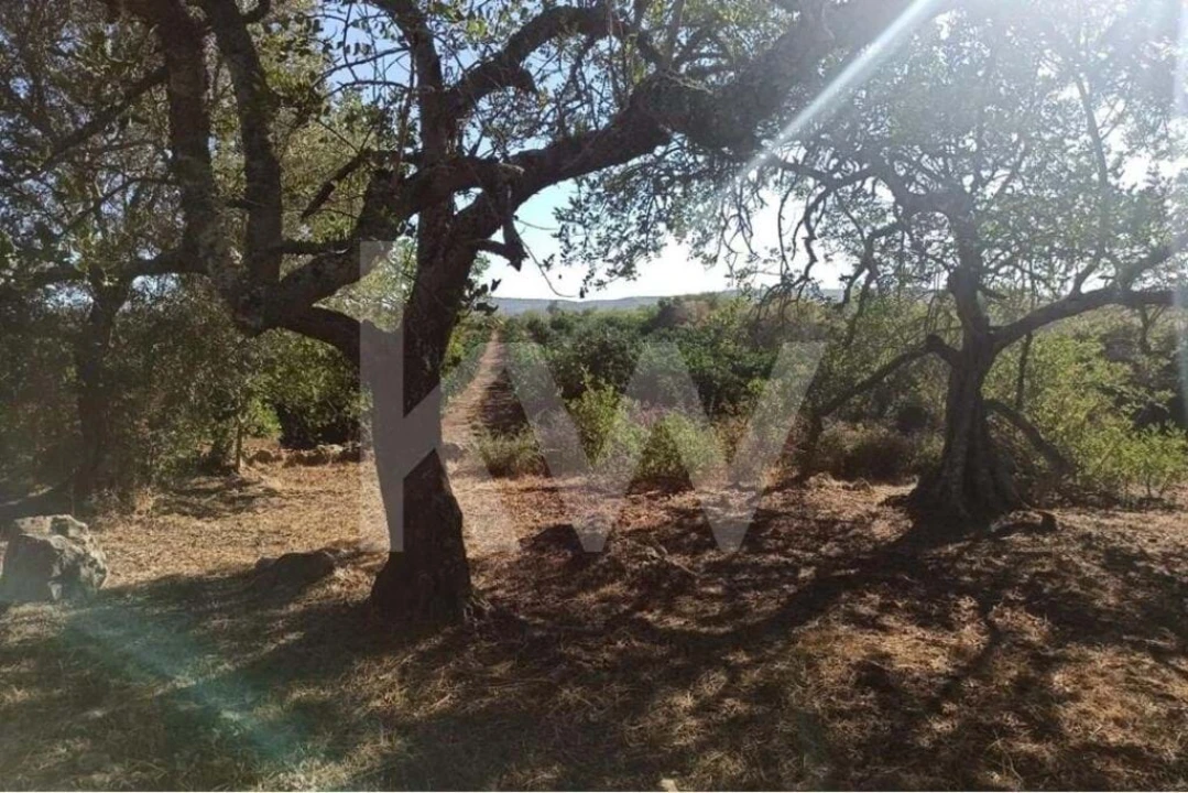 Moradia T5 para Venda em Paderne Foto 8