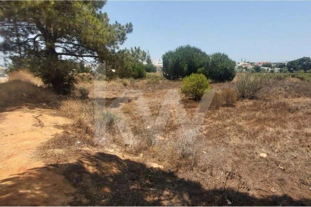 Terreno para Venda em Montenegro Foto 15