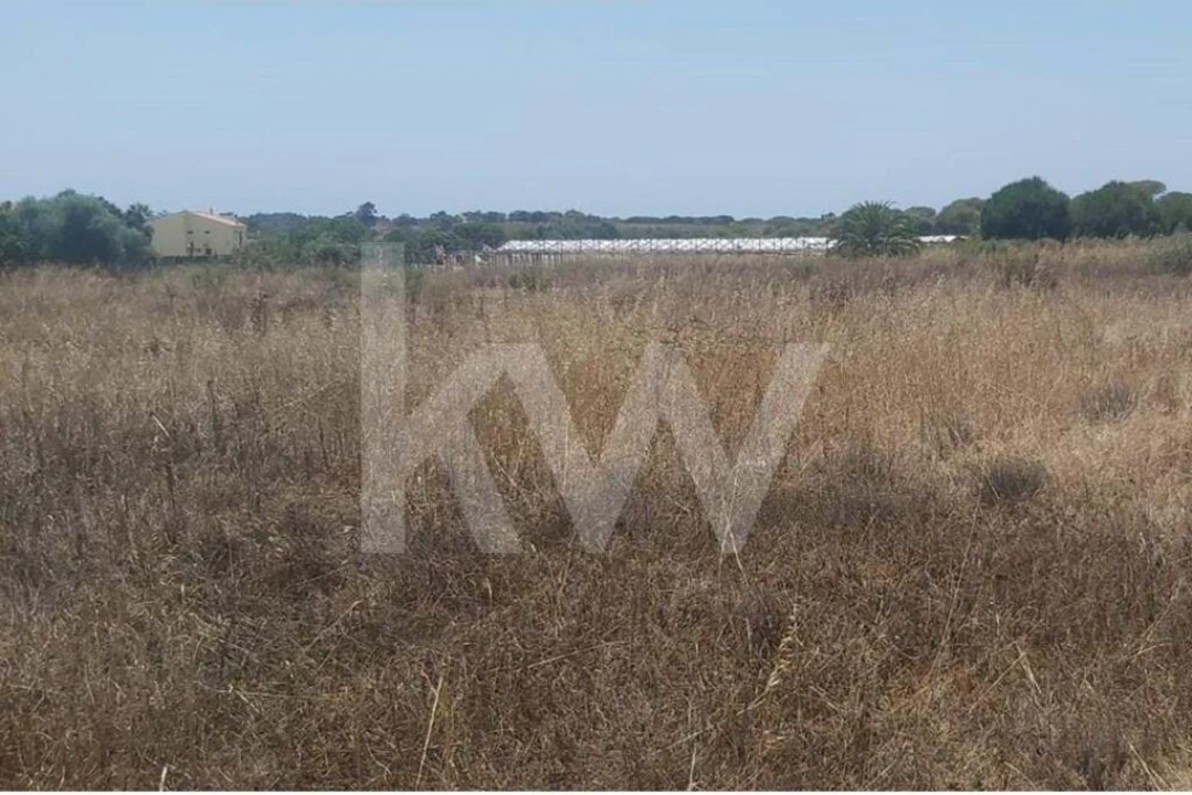 Terreno para Venda em Montenegro Foto 6