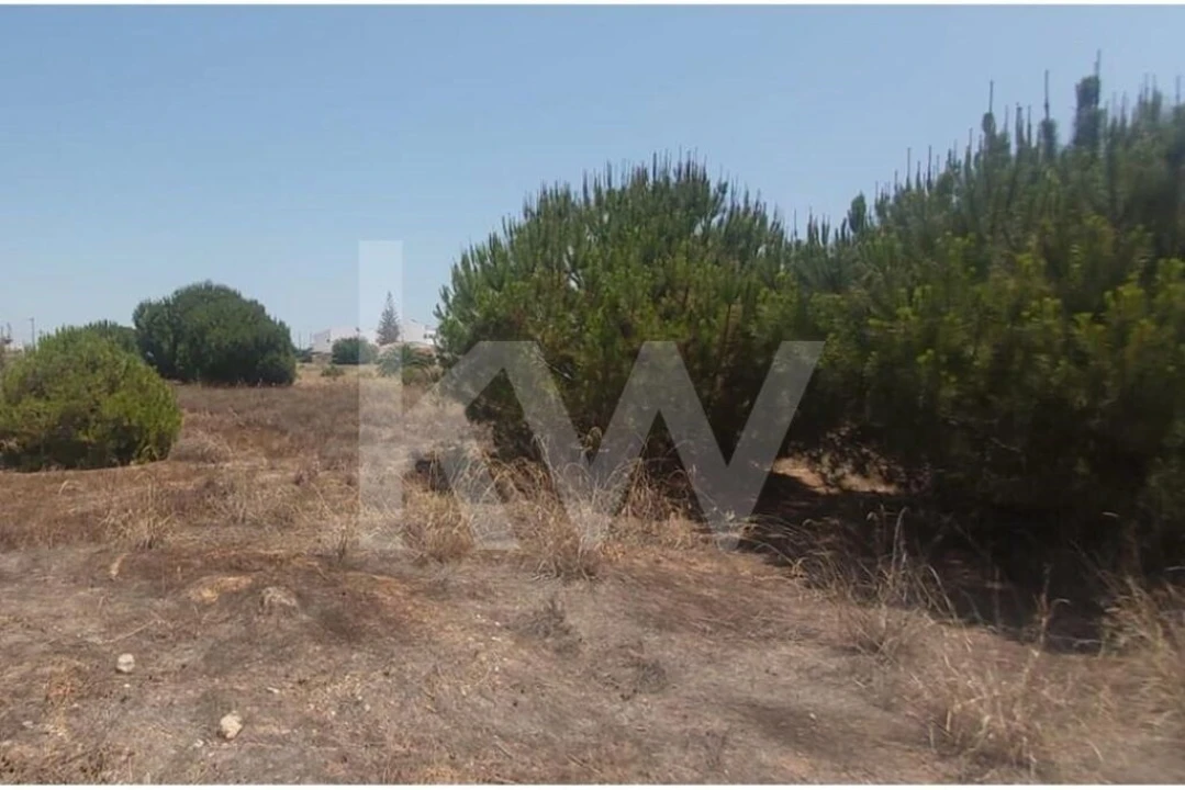 Terreno para Venda em Montenegro Foto 16