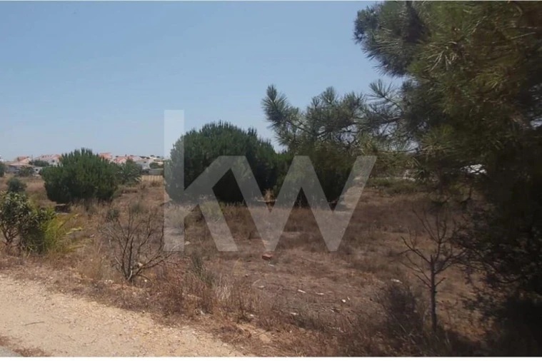 Terreno para Venda em Montenegro Foto 14