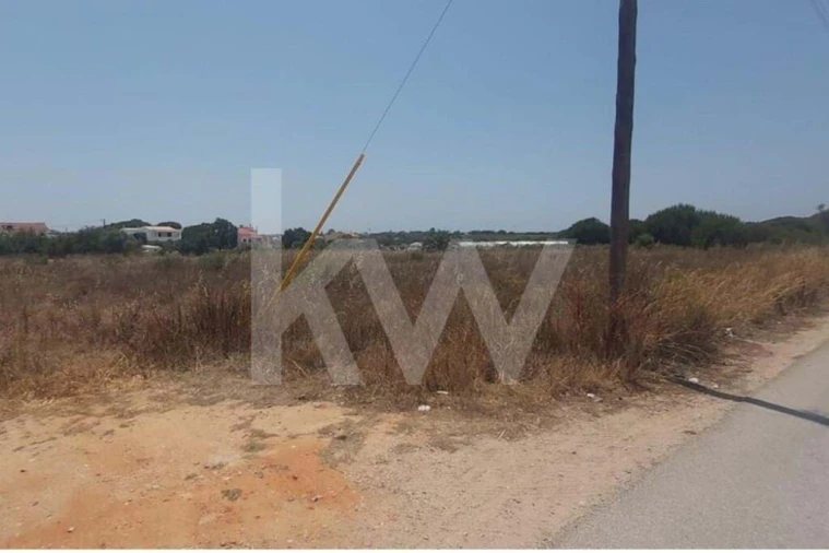 Terreno para Venda em Montenegro Foto 8