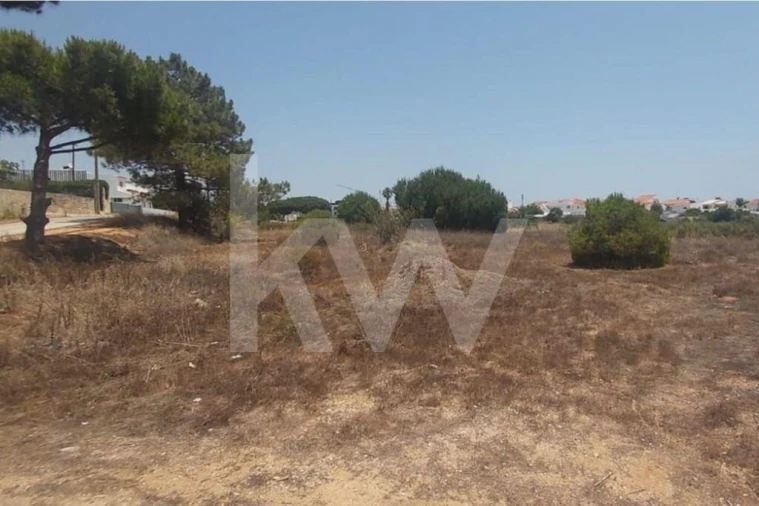 Terreno para Venda em Montenegro Foto 17