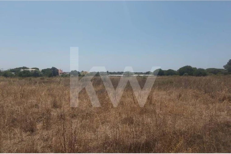 Terreno para Venda em Montenegro Foto 5