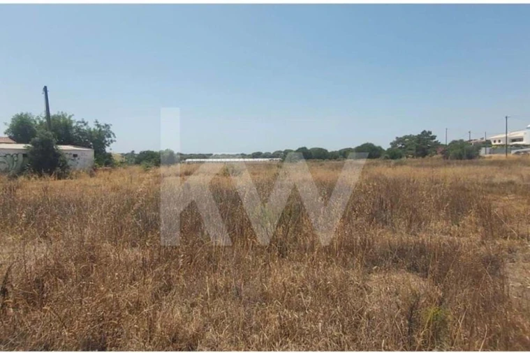 Terreno para Venda em Montenegro Foto 4