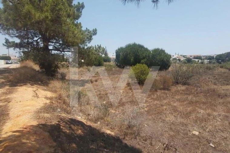 Terreno para Venda em Montenegro Foto 11