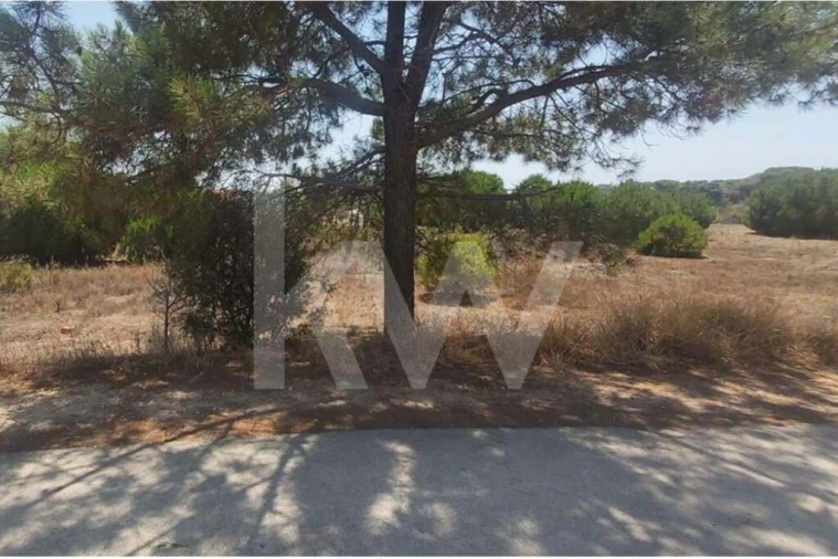 Terreno para Venda em Montenegro Foto 12