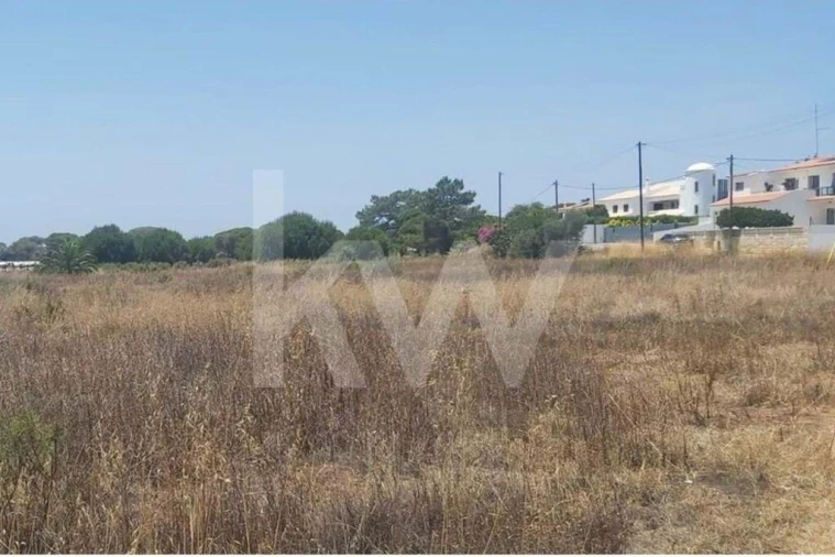 Terreno para Venda em Montenegro Foto 7