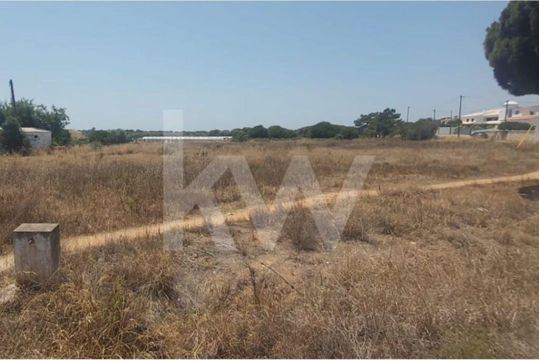Terreno para Venda em Montenegro Foto 10
