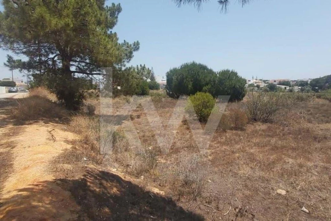 Terreno para Venda em Montenegro Foto 11