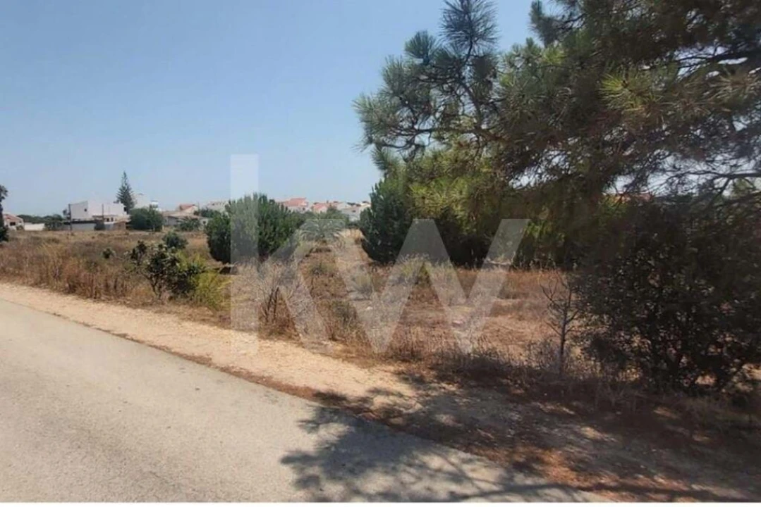 Terreno para Venda em Montenegro Foto 25