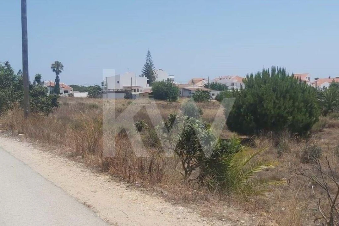 Terreno para Venda em Montenegro Foto 13