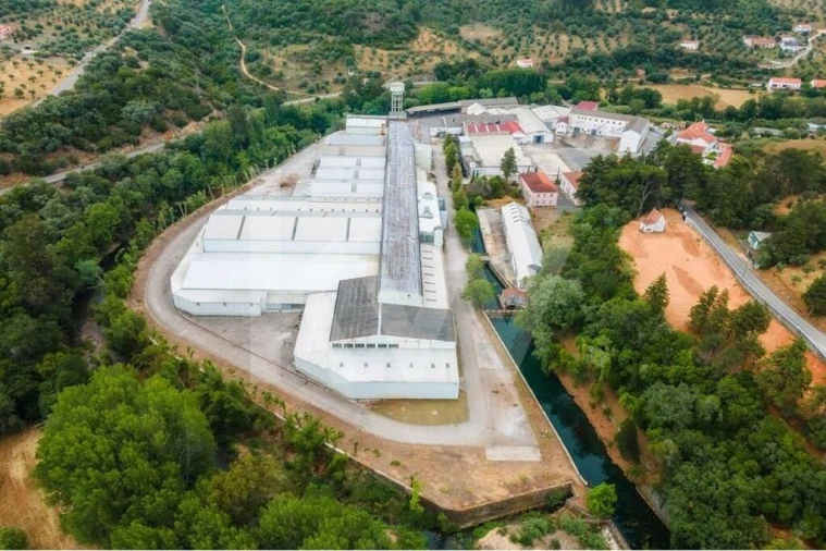 Armazém para Venda em Além da Ribeira e Pedreira