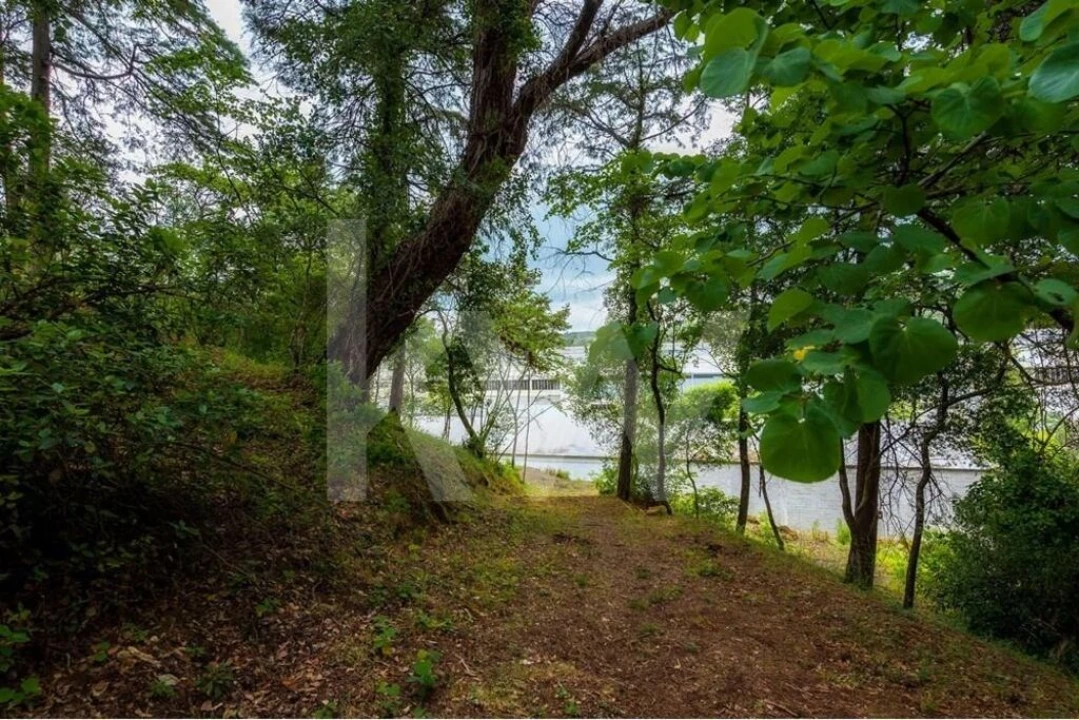 Armazém para Venda em Além da Ribeira e Pedreira Foto 60