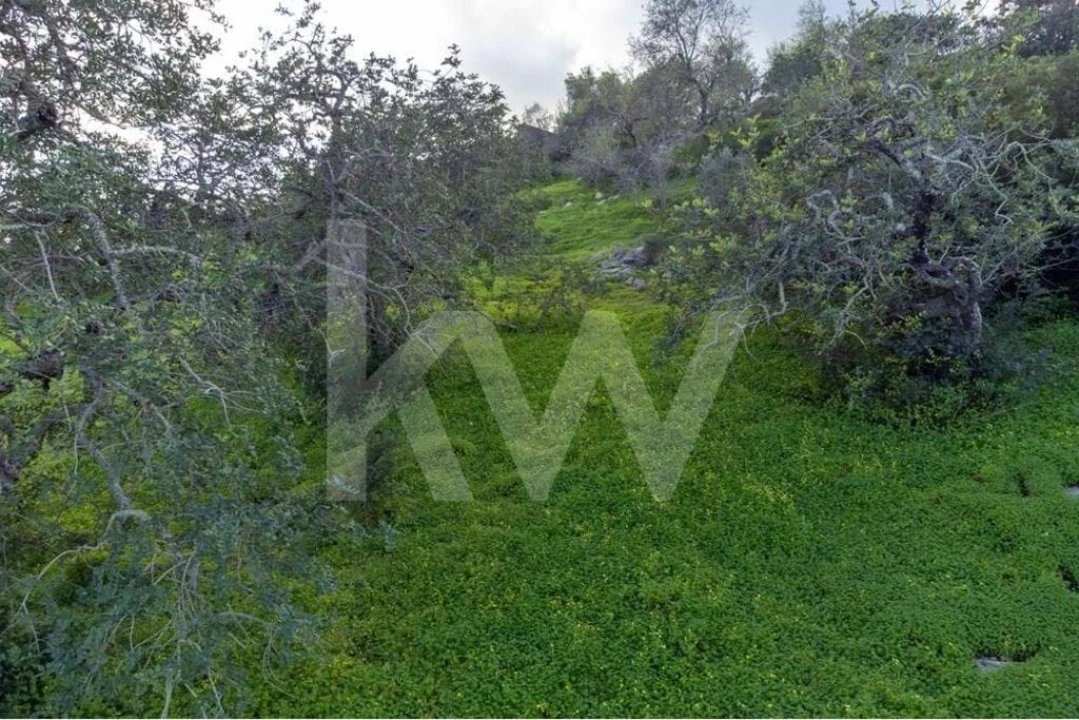 Moradia T3 para Venda em Cachopo Foto 25