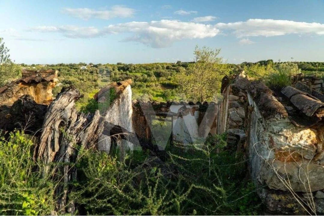 Moradia T3 para Venda em Cachopo Foto 5