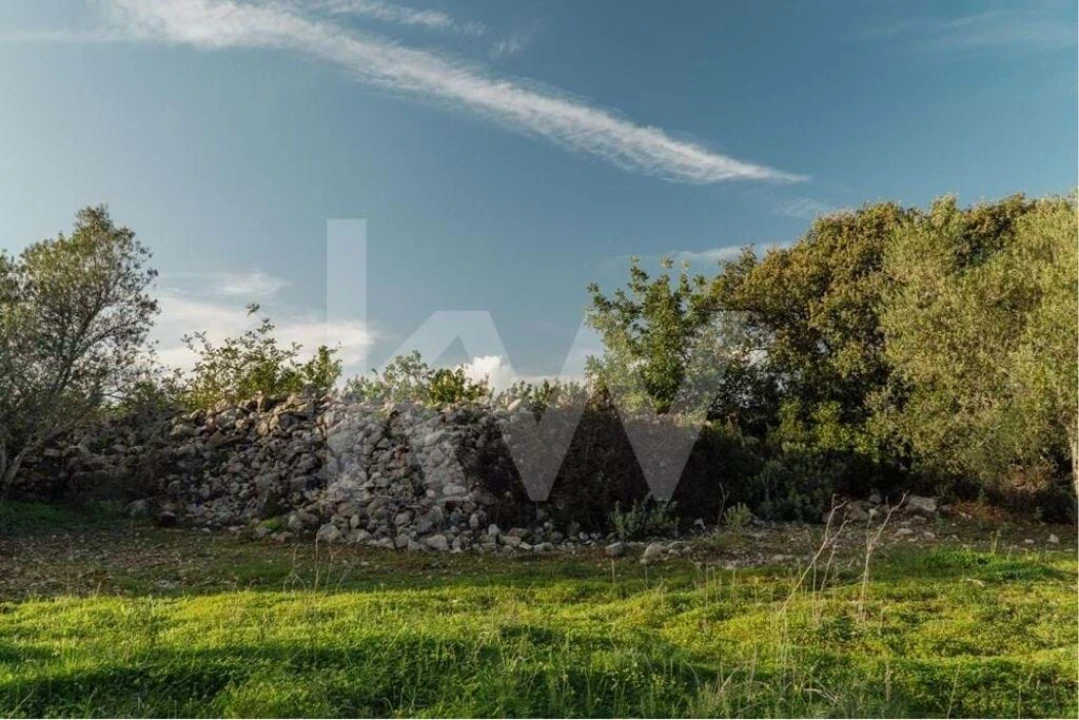 Moradia T3 para Venda em Cachopo Foto 7