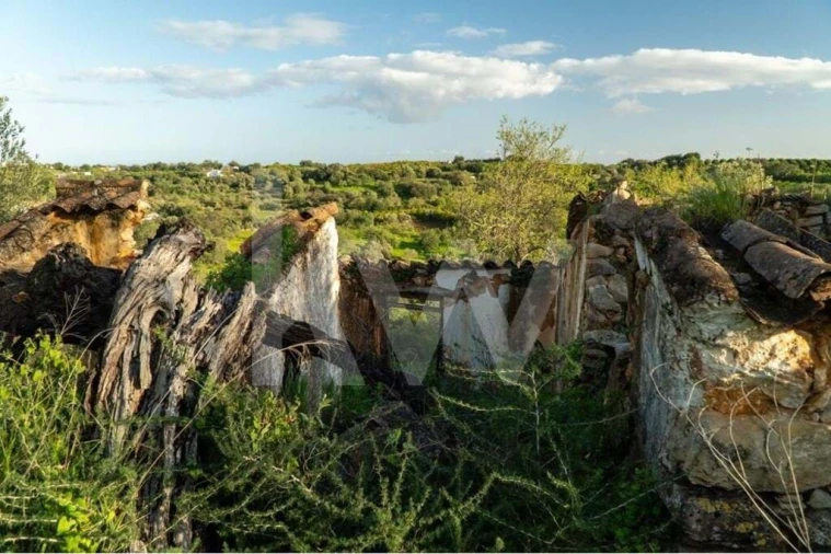 Moradia T3 para Venda em Cachopo Foto 5