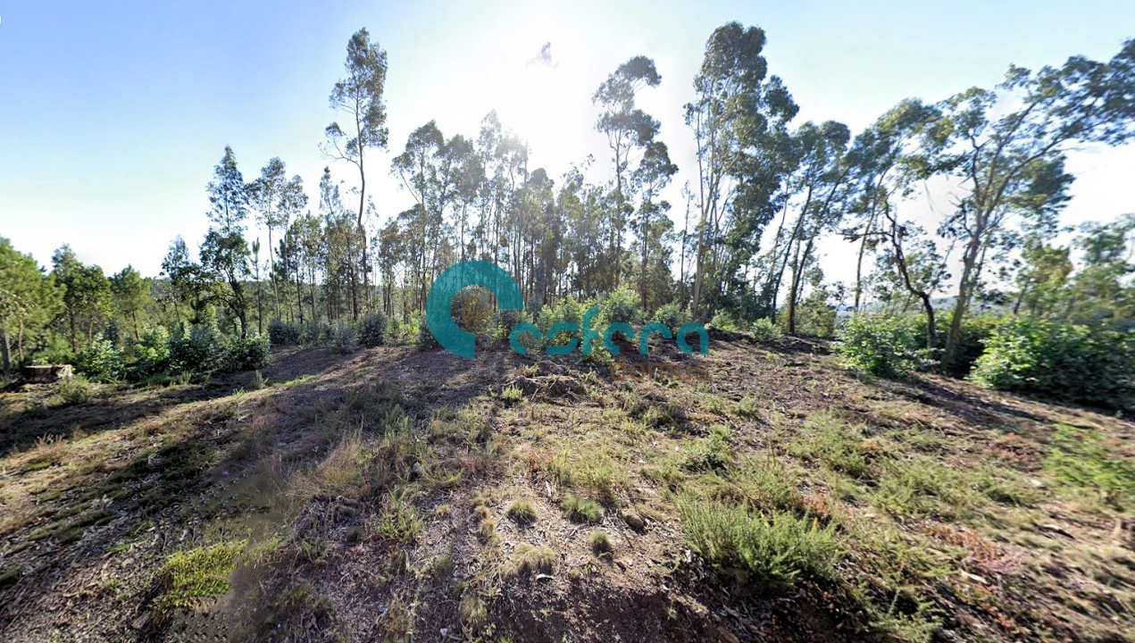 Terreno para Venda em Sanguedo Foto 6