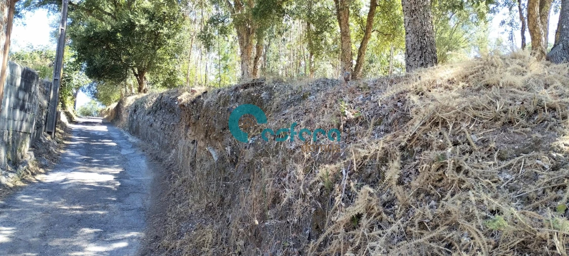 Terreno para Venda em Sanguedo Foto 5