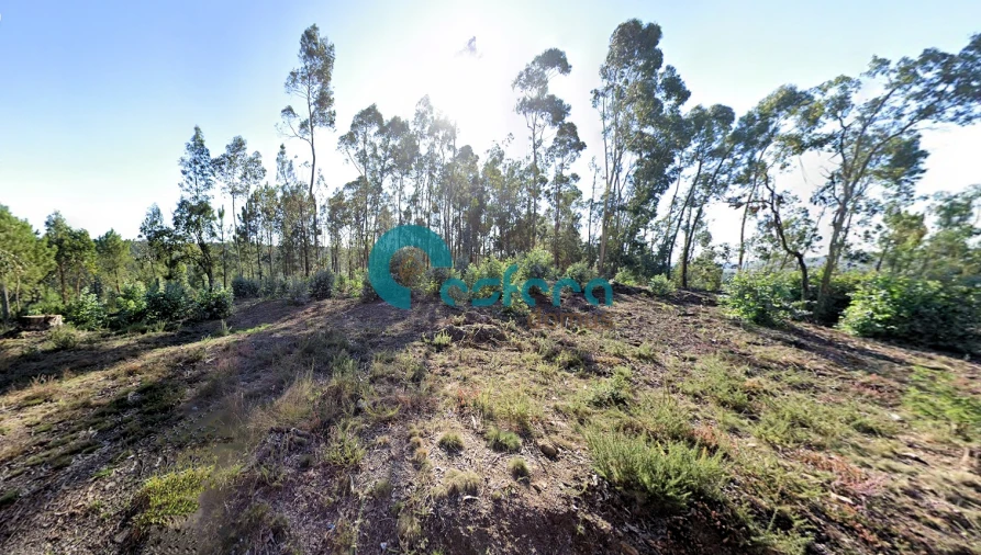 Terreno para Venda em Sanguedo Foto 6