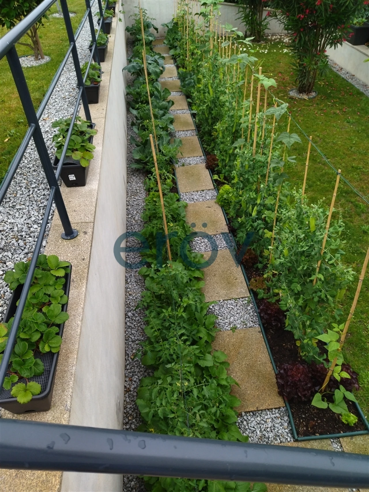 Moradia T3 para Venda em Arca e Ponte de Lima Foto 29